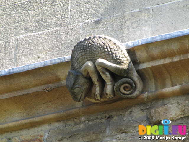 SX07862 Chamelion gargoyle Oxford building